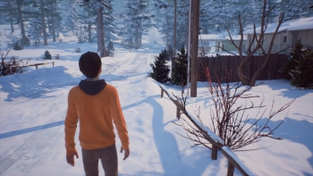 Life is Strange 2 Screenshot